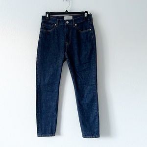 Everlane Skinny Jeans Dark Wash